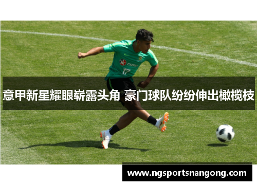 意甲新星耀眼崭露头角 豪门球队纷纷伸出橄榄枝