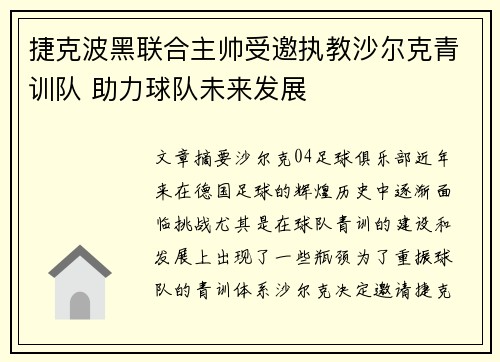 捷克波黑联合主帅受邀执教沙尔克青训队 助力球队未来发展