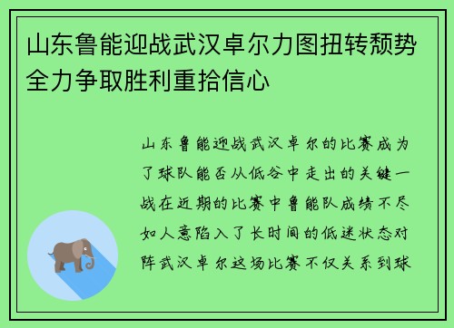 山东鲁能迎战武汉卓尔力图扭转颓势全力争取胜利重拾信心