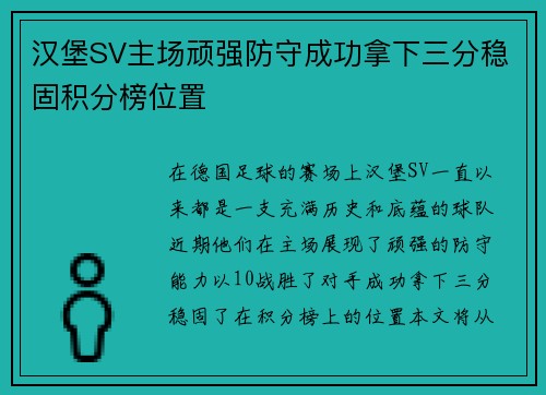 汉堡SV主场顽强防守成功拿下三分稳固积分榜位置